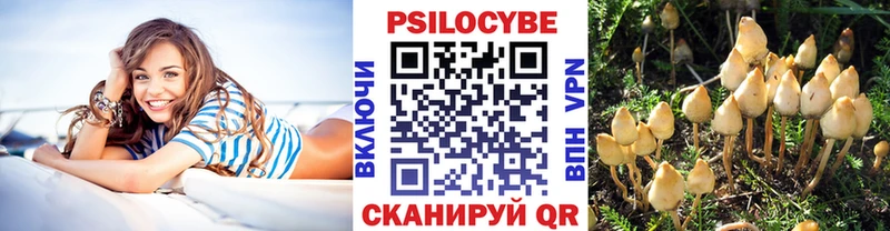 Купить закладки  Балашиха  Псилоцибиновые грибы мицелий 