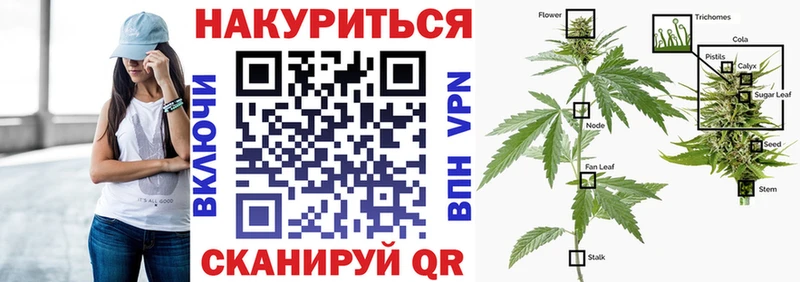 Марихуана планчик  Купить закладки  Балашиха 